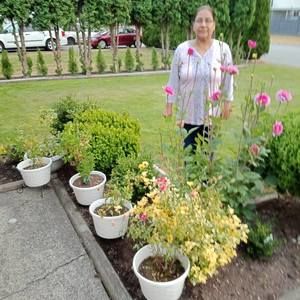 Meet your Posher, Sukhvinder